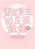 穿成男主的反派姐姐执灯夜行