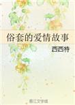 俗套的爱情故事免费阅读