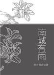 南城有雨po