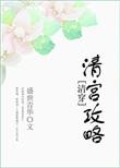 清宫升职记(清穿)
