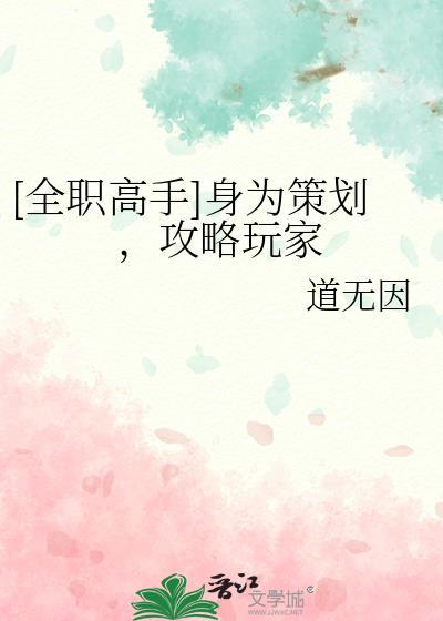 全职高手身为策划攻略玩家txt