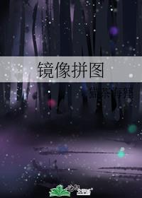 镜像拼图by猫茶海狸免费阅读