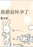 离婚前怀孕了by香水树免费阅读讲什么