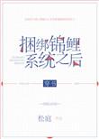 捆绑锦锂系统之后