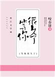 我等你很久了主角