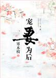 宠妻为后重生娇妻太器张免费阅读