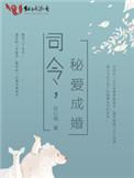 司令的