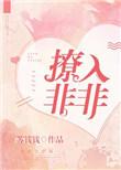 撩入非非若诗安轩TXT