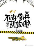 不许你再乱放电