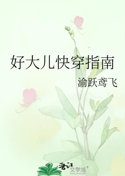 好大儿快穿指南全集
