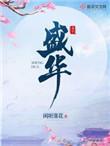 盛华烟花