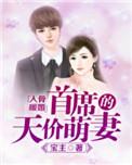 入骨暖婚误嫁天价老公