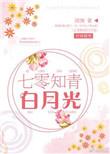 穿越七零知青白月光