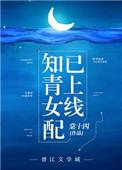 知青女配已上线 作者棠十四