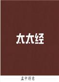 太太经孟中得意番外