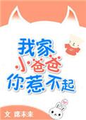 我家小爸爸你惹不起免费阅读