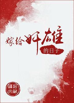 嫁给奸雄的日子 作者九斛珠
