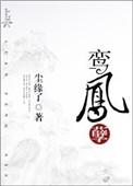 鸾凤孽晋江