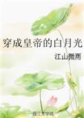 穿成皇帝的白月光 江山微雨