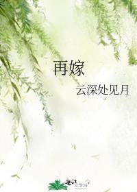再嫁小夫郎
