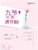 宠妻请节制txt