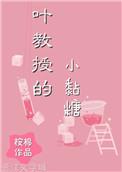 叶教授的小黏糖免费阅读