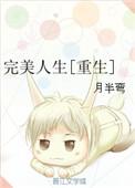 完美人生重生叶青
