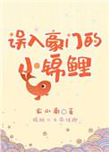 误入豪门的小锦鲤晋江