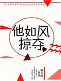 他如风掠夺by流兮冉全文阅读