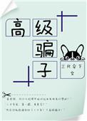 高级 什么意思