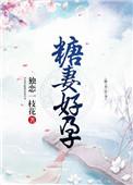 糖婚全文免费阅读