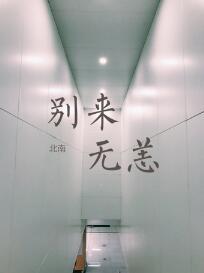 别来无恙 任素汐