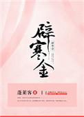 辟寒金小髻鬟松什么意思