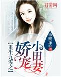重生九零小娇妻免费阅读