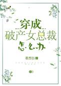 穿成破产大佬妻免费阅读