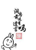 洞房前还有遗言吗txt百度