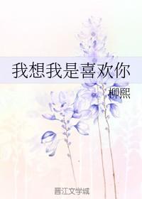 我想我是喜欢你的话本