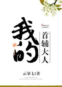 我的首辅大人言