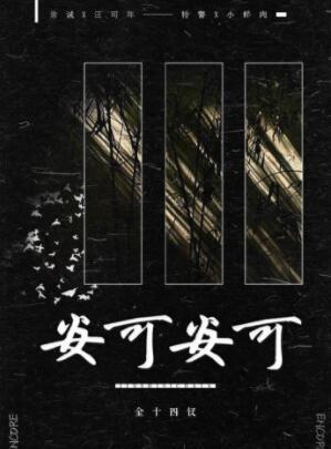 安可安可金十四钗