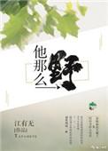 他那么野百度txt