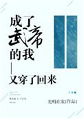 成了武帝的我又穿了回来剧情介绍