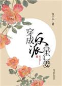 穿成反派早亡妻百度
