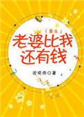 老婆比我还有钱晋江