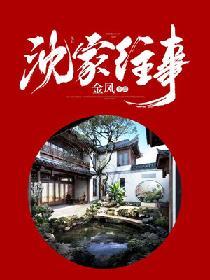 沈家往事丁叔