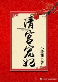 清宫宠妃四爷