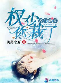 名门宠婚权少撩妻上瘾