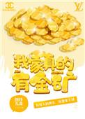 我家真的有金矿txt百度