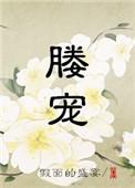 媵宠免费阅读