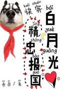 白月光精忠报国无弹窗