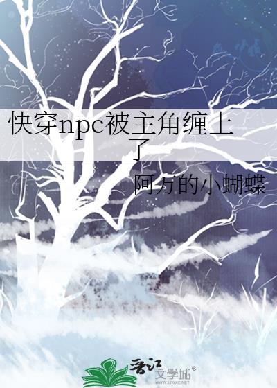 快穿npc的